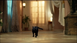 Suhagan Chudail - 14th June 2024